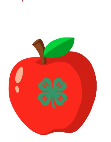 apple with 4-h clover